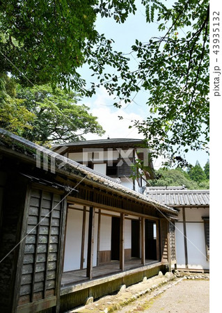 初夏の飫肥城下 初夏の飫肥城下 43935132