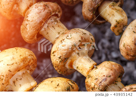 Barbecue skewers with grilled champignon mushrooms Barbecue skewers with grilled champignon mushrooms 43935142