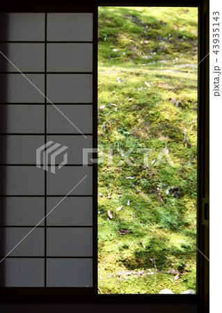 初夏の飫肥城下 初夏の飫肥城下 43935143