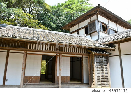 初夏の飫肥城下 43935152