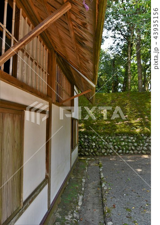 初夏の飫肥城下 初夏の飫肥城下 43935156