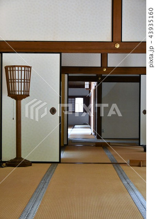 初夏の飫肥城下 43935160
