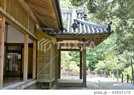 初夏の飫肥城下 初夏の飫肥城下 43935170