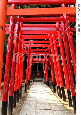 阿那稲荷神社（品川神社） 43935249