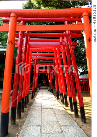 阿那稲荷神社(品川神社) 阿那稲荷神社(品川神社) 43935328