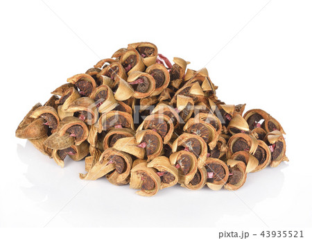dry areca nut or betel nut chewing snack dry areca nut or betel nut chewing snack 43935521