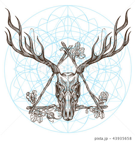 Sketch of deer skull in triangular vintage frame. 43935658