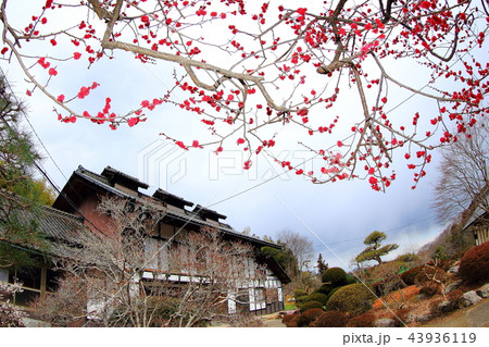 世界遺産高山社跡 43936119