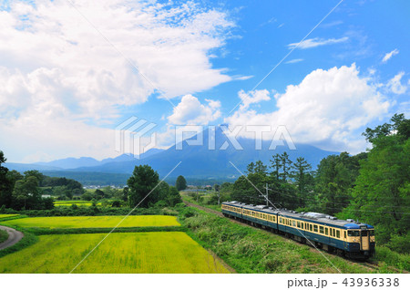 黒姫山をバックに走るしなの鉄道115系電車 43936338