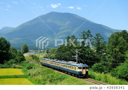 黒姫山をバックに走るしなの鉄道115系電車 43936341