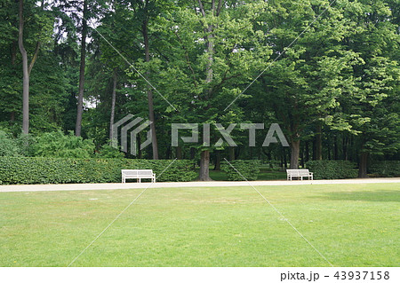 ポーランド ワルシャワのワジェンキ公園 ポーランド ワルシャワのワジェンキ公園 43937158