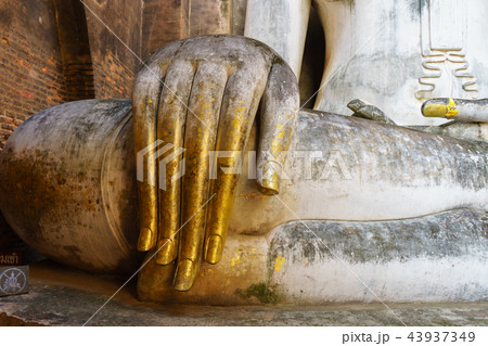Buddha in Wat Sukhothai Province Thailand.   43937349