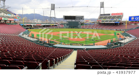 ズームズームスタジアムhanako2 43937977