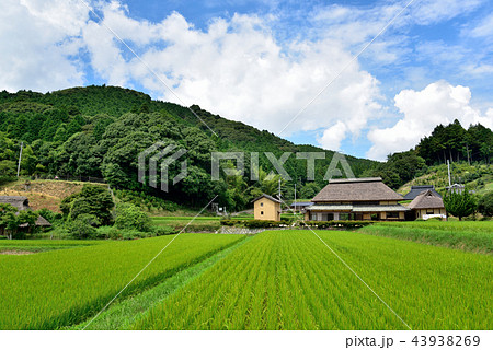 八塔寺ふるさと村 八塔寺ふるさと村 43938269