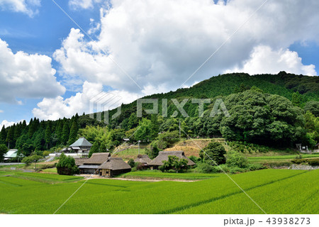 八塔寺ふるさと村 八塔寺ふるさと村 43938273
