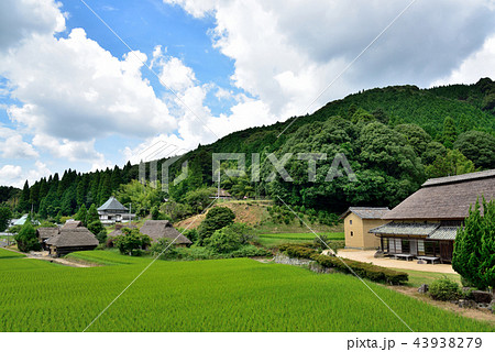 八塔寺ふるさと村 八塔寺ふるさと村 43938279