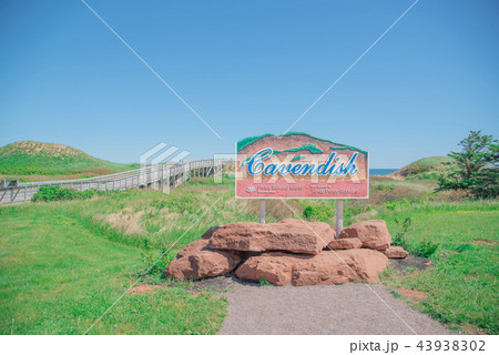 プリンスエドワード島の美しい風景 キャベンディッシュビーチ プリンスエドワード島の美しい風景 キャベンディッシュビーチ 43938302