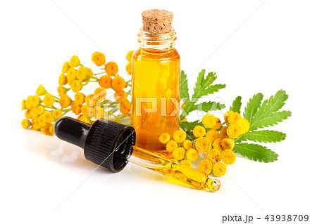 essential tansy oil with flowers and leaf isolated on white background 43938709