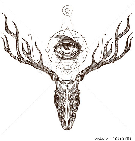 Sketch Of Deer Skull And All Seeing Eye のイラスト素材
