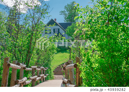 赤毛のアンの世界　グリーンゲイブルスへ続く小道 43939282