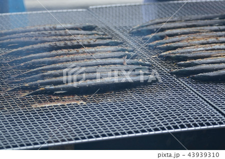 秋の味覚　目黒のさんま祭り 43939310