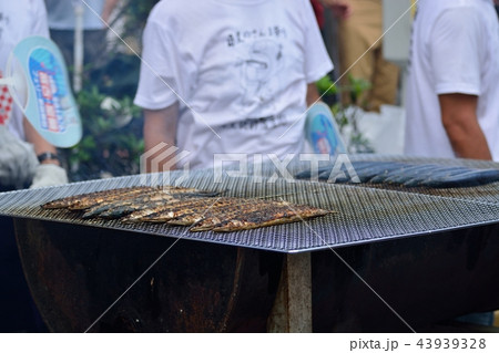 秋の味覚 目黒のさんま祭り 秋の味覚 目黒のさんま祭り 43939328