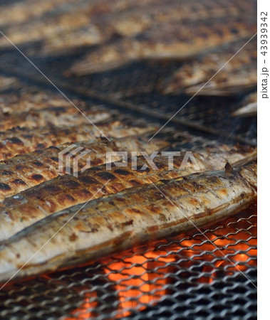秋の味覚 目黒のさんま祭り 秋の味覚 目黒のさんま祭り 43939342