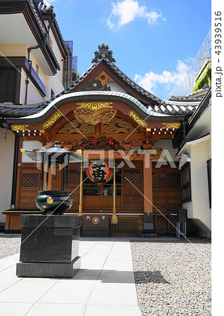 8月　入谷16入谷鬼子母神 43939516