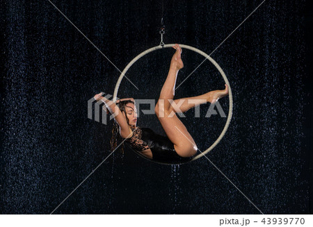 A young girl performs the acrobatic elements in the aerial hoop. Black Aqua Studio 43939770