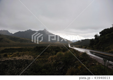 イエローストーン１ 43940013