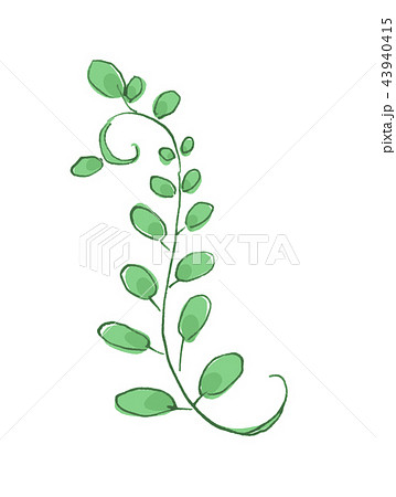 葉 葉っぱ 新緑 若葉 自然 白バック 白背景 コピースペース 素材 素材イラスト 植物 緑 新芽のイラスト素材