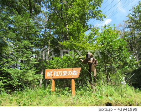 宮城県大衡村　昭和万葉の森 43941999