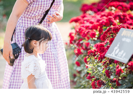 韓国人 女性 女 43942559