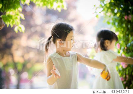 夏 韓国人 女性 43942575