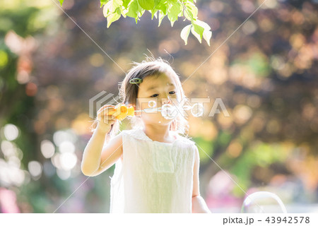 夏 韓国人 女性 43942578