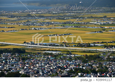 北海道七飯町城岱牧場から大野平野の秋の風景を撮影 43944117