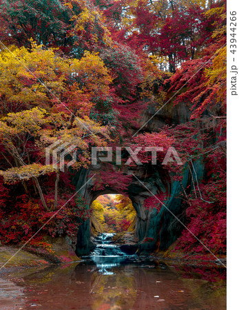 濃溝の滝 紅葉編 濃溝の滝 紅葉編 43944266