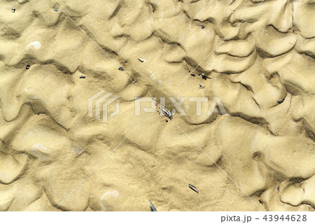 ボルネオ島のビーチ ネイチャーイメージ ボルネオ島のビーチ ネイチャーイメージ 43944628