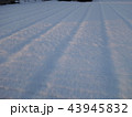 雪の絨毯 43945832