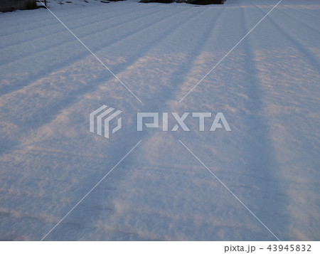 雪の絨毯 43945832