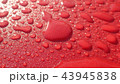 赤い雫 43945838