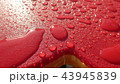 雨上がりの雫 43945839
