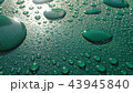 ポップな雨上がり 43945840