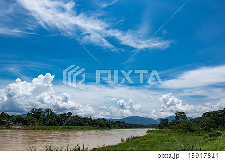 scenery of Perak River located in malaysia 43947814