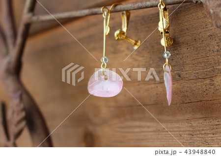 貝殻のアクセサリー 43948840