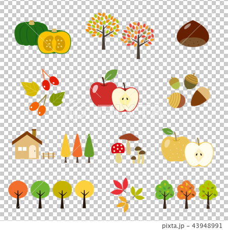 Autumn leaves and crops | Illustration set 43948991