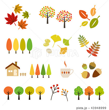 Autumn Leaves | Illustration Set - Stock Illustration [43948999] - Pixta