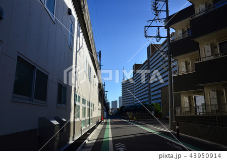 下町　風景　スカイツリー 43950914