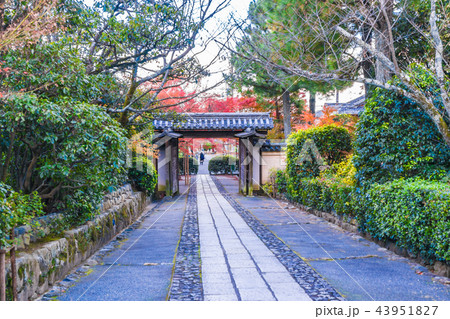 日本の秋 京都 龍安寺の紅葉 日本の秋 京都 龍安寺の紅葉 43951827