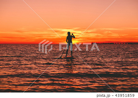 Silhouette of woman at stand up paddle board Silhouette of woman at stand up paddle board 43951859